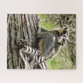PUZZLE LEMUR À BORD  (Horizontal)