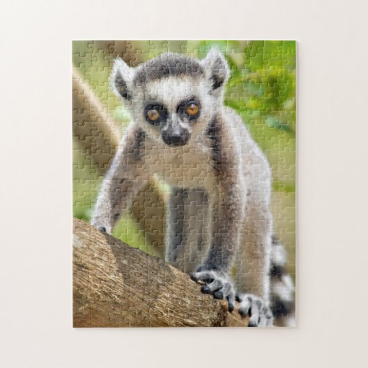 Puzzle Lémurien à anneaux bébé (Vertical)