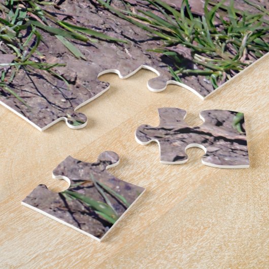 Puzzle Lémurienne à queue ronde sur la carte postale T-Sh (Côté)