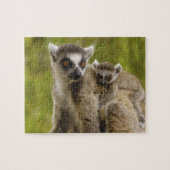 Puzzle Lémuriens à queue annelée (Lemur catta) Mère et bé (Horizontal)