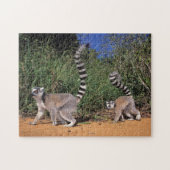 Puzzle Lémuriens (Lemur Catta), Berenty (Horizontal)