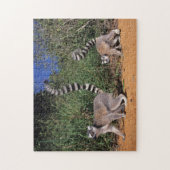 Puzzle Lémurs à queue annelée (Lemur Catta), Berenty (Vertical)