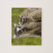 Puzzle Lémurs à queue annelée (Lemur catta) Mère et bébé. (Vertical)