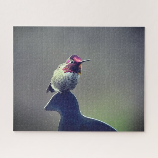 Puzzle L'énigme d'Anna, colibri (Horizontal)