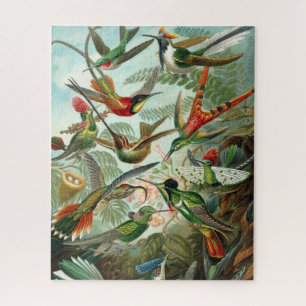 Puzzle L'énigme des colibris d'Haeckel