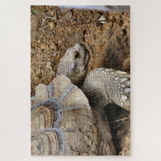 Puzzle Lent (Vertical)