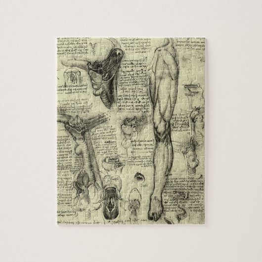 Puzzle Leonardo da Vinci Vintage Anatomie humaine Larynx (Vertical)
