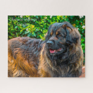 Puzzle Leonberger Dog.
