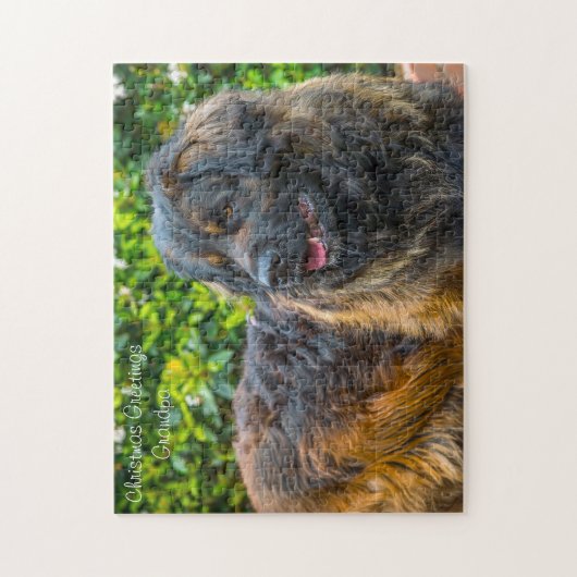 Puzzle Leonberger Dog. (Vertical)