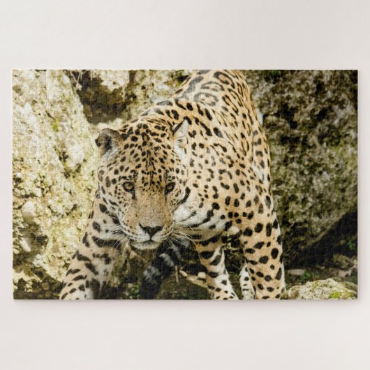 Puzzle Leopard (Horizontal)