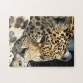 Puzzle Leopard 004 (Horizontal)