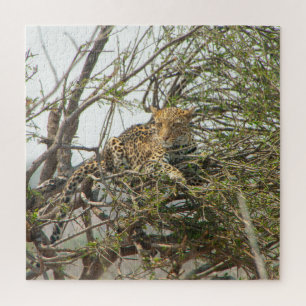 Puzzle Léopard dans l'arbre