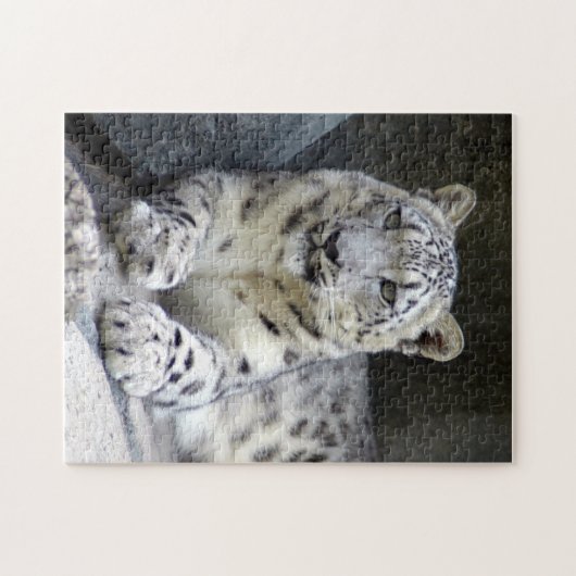 Puzzle léopard de neige 6 (Horizontal)