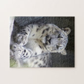 Puzzle léopard des neiges 27 (Horizontal)