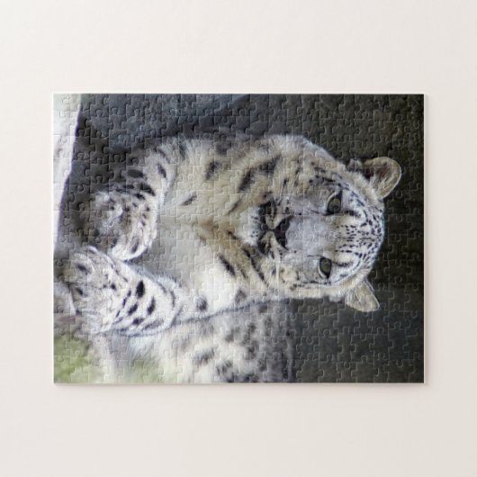 Puzzle léopard des neiges 27 (Horizontal)