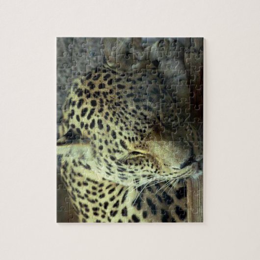 Puzzle Léopard endormi (Vertical)
