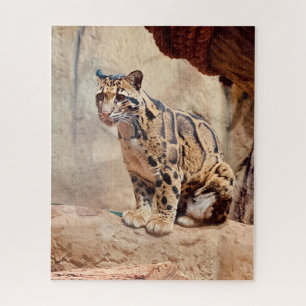 Puzzle léopard nébuleux image nature faune exotique