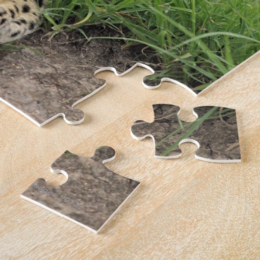 Puzzle Leopard, Panthera pardus, Sabi Sabi Game (Côté)
