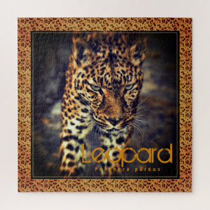 Puzzle Leopard [puzzle Carré]