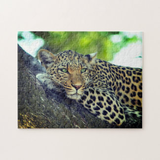 Puzzle Leopard sur un arbre Majestic Big Cat