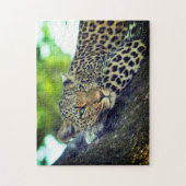 Puzzle Leopard sur un arbre Majestic Big Cat (Vertical)