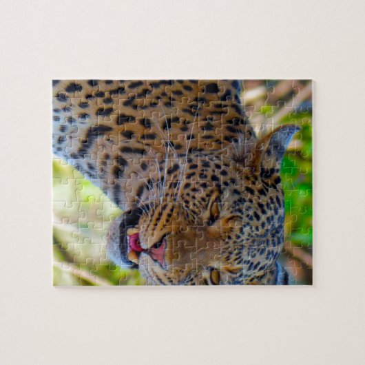 Puzzle Leopard tacheté (Horizontal)