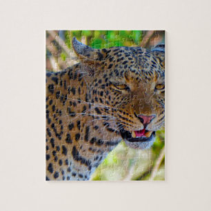 Puzzle Leopard tacheté