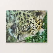 PUZZLE LEOPARDS (Horizontal)