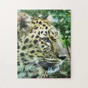 PUZZLE LEOPARDS