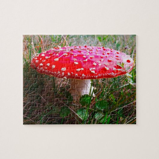 Puzzle Leprechauns où les petits vivent Irlande (Horizontal)