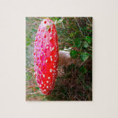 Puzzle Leprechauns où les petits vivent Irlande (Vertical)