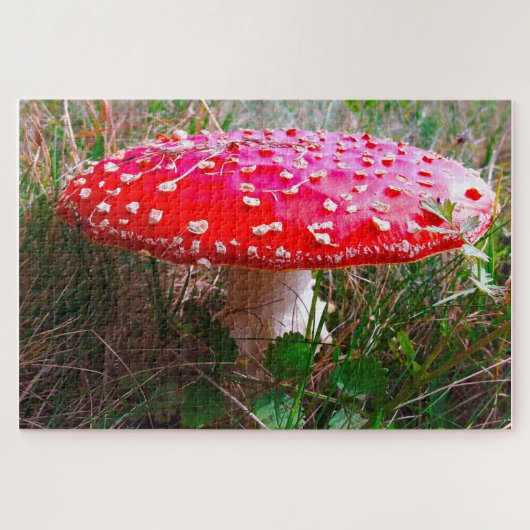 Puzzle Leprechauns où les petits vivent Irlande (Horizontal)