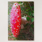 Puzzle Leprechauns où les petits vivent Irlande (Vertical)