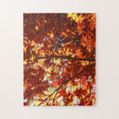 Puzzle L'érable japonais au soleil (Vertical)