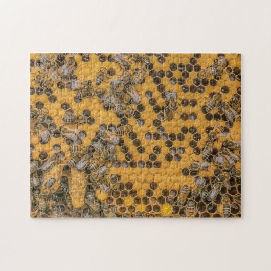 Puzzle Les abeilles et les cellules de la reine en ruche  (Horizontal)