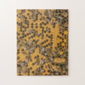 Puzzle Les abeilles et les cellules de la reine en ruche  (Vertical)