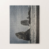 Puzzle : Les aiguilles 1 (Vertical)