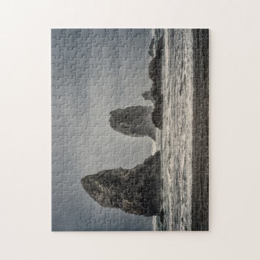 Puzzle : Les aiguilles 1 (Vertical)