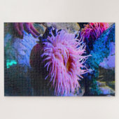 Puzzle Les anémones de mer. (Horizontal)