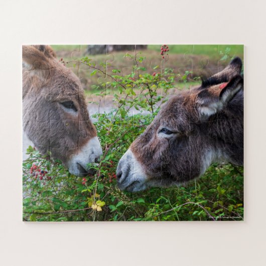 Puzzle Les ânes, les enfants, 56 pièces, (Horizontal)