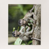 Puzzle Les bébés singes dans la nature (Vertical)