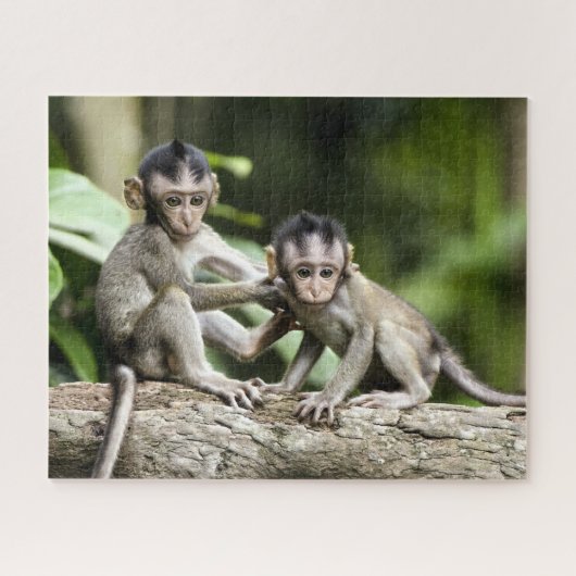Puzzle Les bébés singes dans la nature (Horizontal)