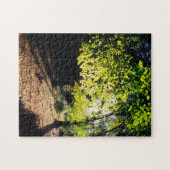 Puzzle Les bois au printemps (Horizontal)
