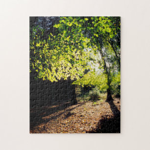 Puzzle Les bois au printemps