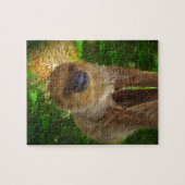 Puzzle Les cadeaux de Sloth Rainforest (Horizontal)