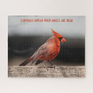 Puzzle Les cardinaux apparaissent quand les anges sont pr