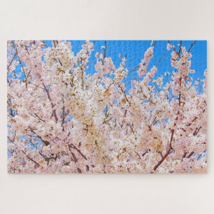 Puzzle Les cerisiers en fleurs