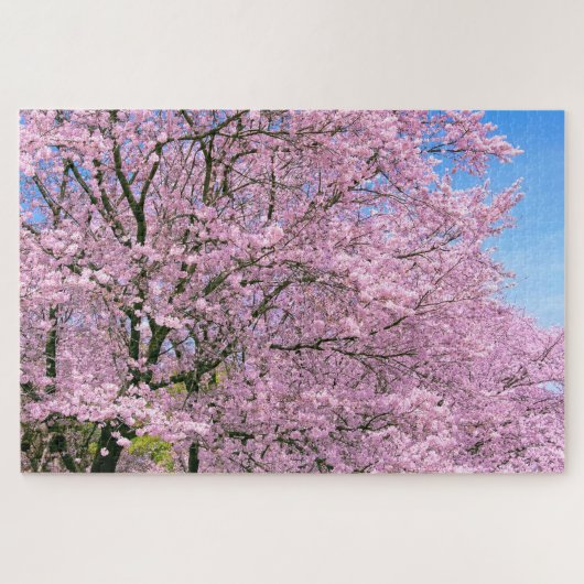 Puzzle Les cerisiers en fleurs (Horizontal)