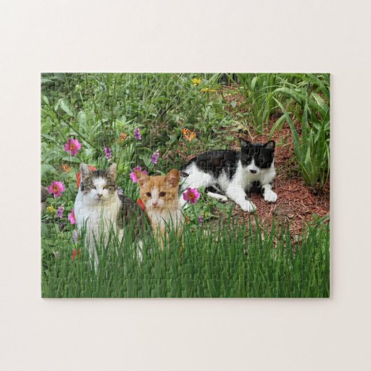 Puzzle Les chats dans le jardin (Horizontal)
