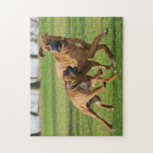 Puzzle Les chiens de boxeur courent une course drôle (Vertical)